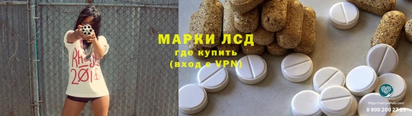 стафф Алзамай