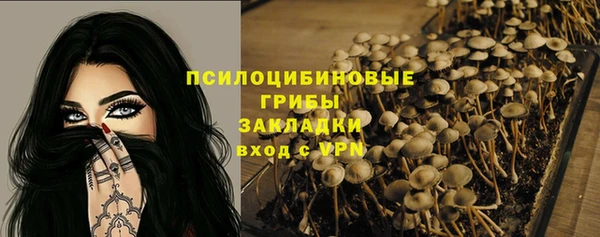 стаф Алексин