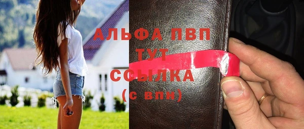 стаф Алексин