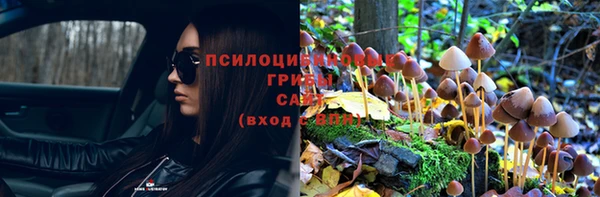 кристаллы Алексеевка