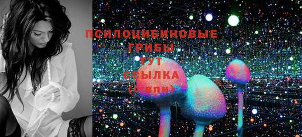 стаф Алексин
