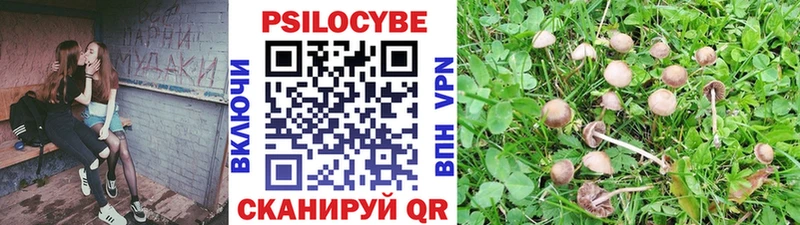 Псилоцибиновые грибы Magic Shrooms  Тобольск 