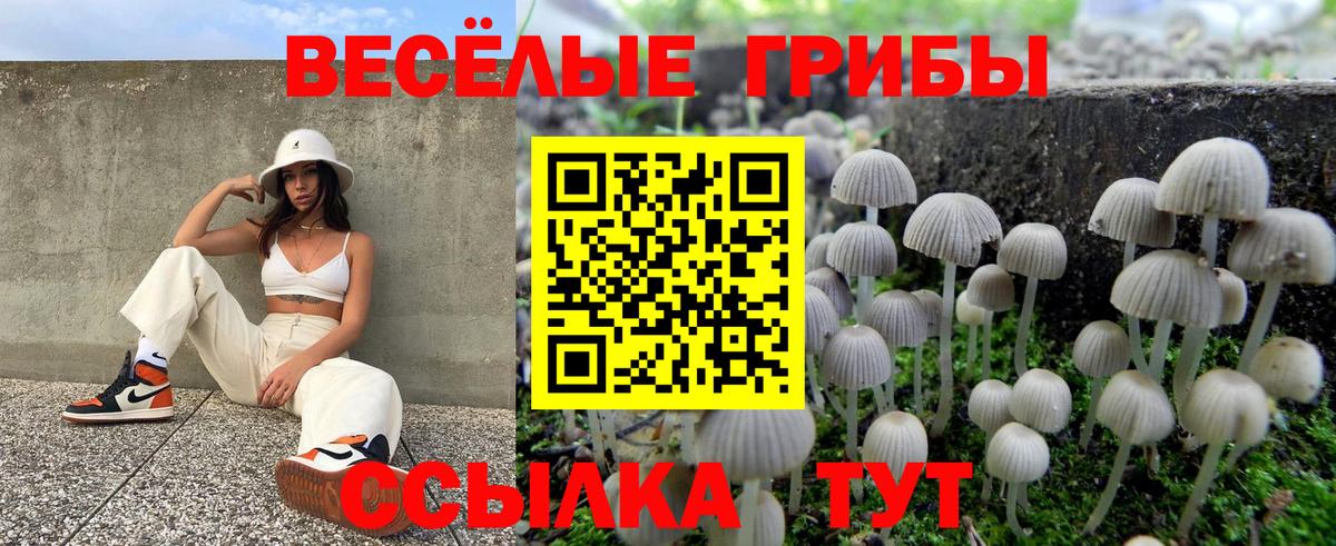 Псилоцибиновые грибы прущие грибы  Вход с VPN  Псилоцибиновые грибы Psilocybe  Тобольск 