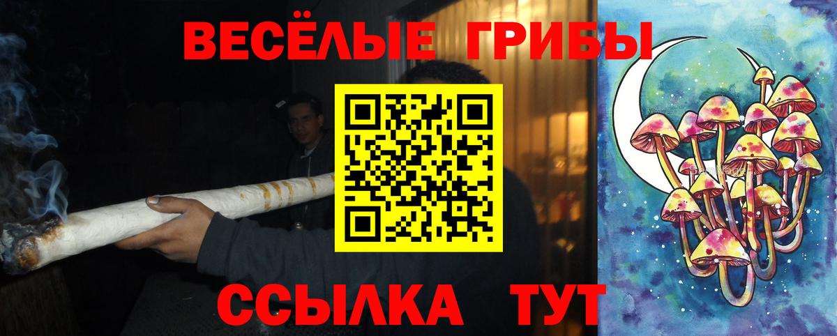 Псилоцибиновые грибы Magic Shrooms Тобольск